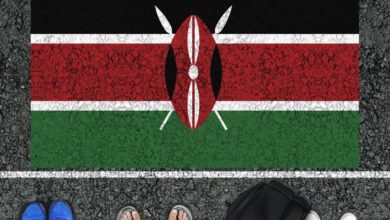 Kenya Vizesi Şartları