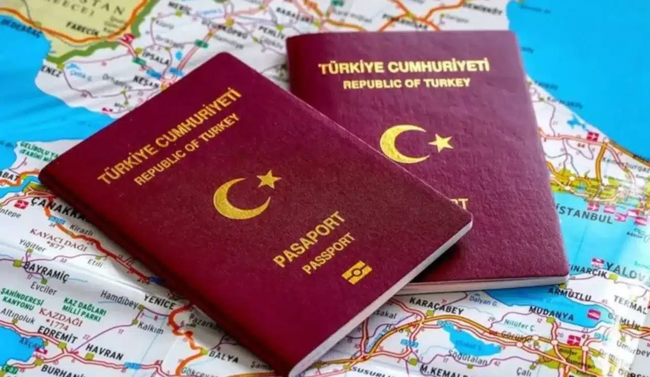 Vize danışmanlık